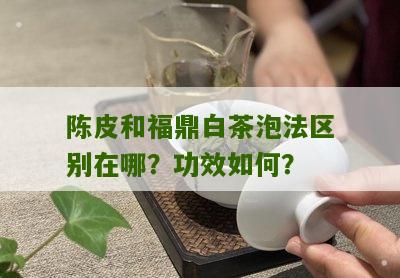 陈皮和福鼎白茶泡法区别在哪？功效如何？