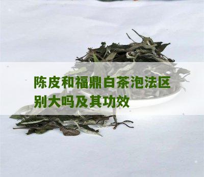 陈皮和福鼎白茶泡法区别大吗及其功效