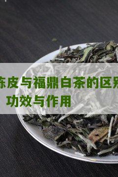 陈皮与福鼎白茶的区别、功效与作用