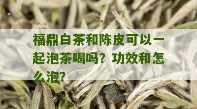 福鼎白茶和陈皮可以一起泡茶喝吗？功效和怎么泡？