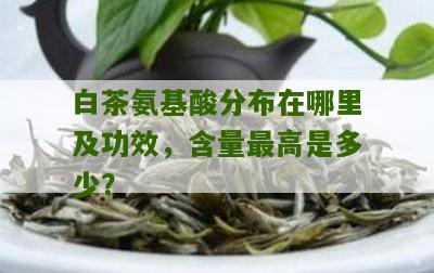 白茶氨基酸分布在哪里及功效，含量最高是多少？