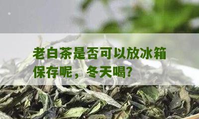 老白茶是否可以放冰箱保存呢，冬天喝？