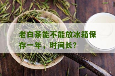 老白茶能不能放冰箱保存一年，时间长？