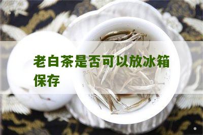 老白茶是否可以放冰箱保存