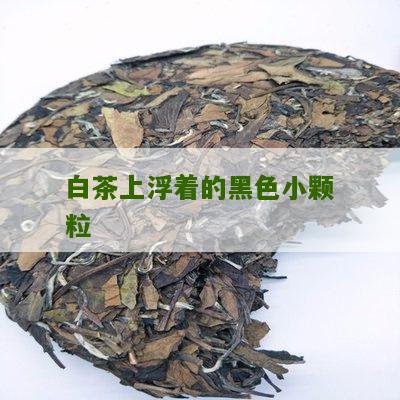 白茶上浮着的黑色小颗粒