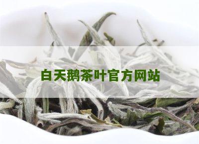 白天鹅茶叶官方网站