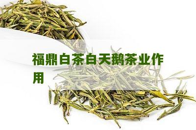 福鼎白茶白天鹅茶业作用