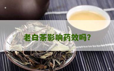 老白茶影响药效吗？