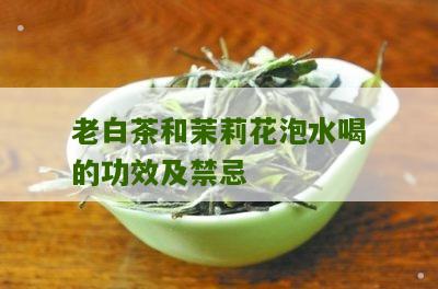 老白茶和茉莉花泡水喝的功效及禁忌