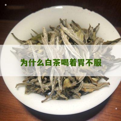 为什么白茶喝着胃不服