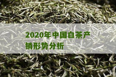 2020年中国白茶产销形势分析