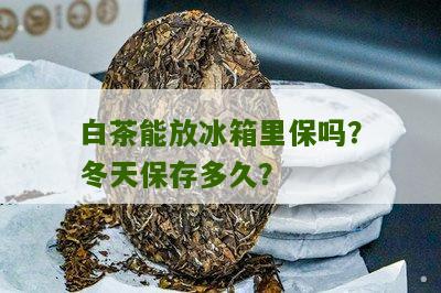 白茶能放冰箱里保吗？冬天保存多久？