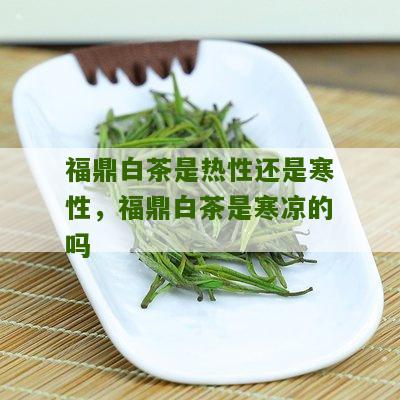 福鼎白茶是热性还是寒性，福鼎白茶是寒凉的吗