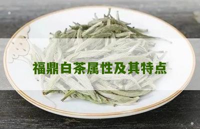 福鼎白茶属性及其特点