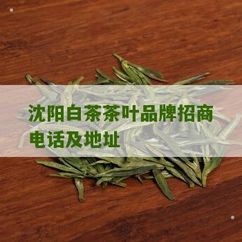 沈阳白茶茶叶品牌招商电话及地址