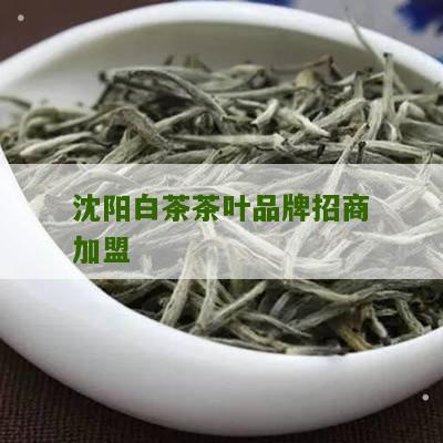 沈阳白茶茶叶品牌招商加盟