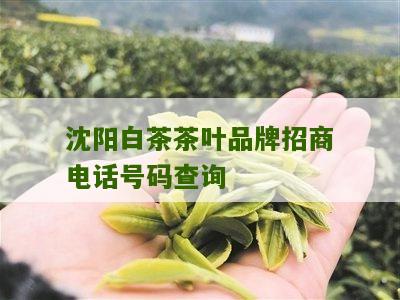 沈阳白茶茶叶品牌招商电话号码查询