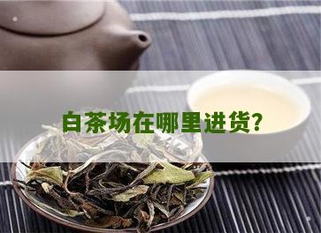 白茶场在哪里进货？