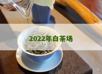 2022年白茶场