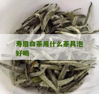 寿眉白茶用什么茶具泡好喝