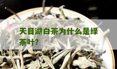 天目湖白茶为什么是绿茶叶？