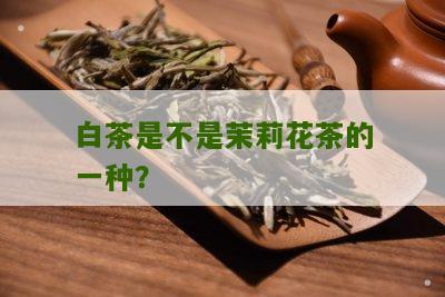 白茶是不是茉莉花茶的一种？