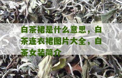 白茶裙是什么意思，白茶连衣裙图片大全，白茶女装简介