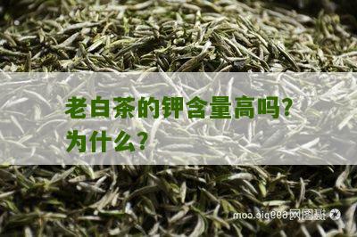 老白茶的钾含量高吗？为什么？