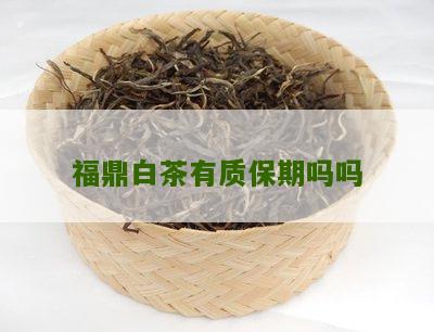 福鼎白茶有质保期吗吗