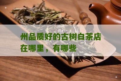 州品质好的古树白茶店在哪里，有哪些