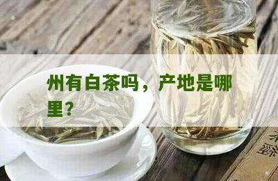 州有白茶吗，产地是哪里？