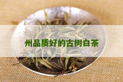 州品质好的古树白茶