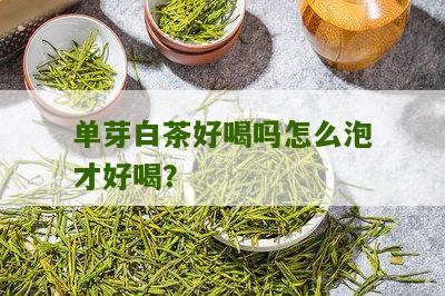 单芽白茶好喝吗怎么泡才好喝？