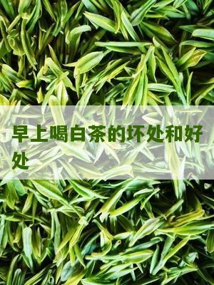 早上喝白茶的坏处和好处