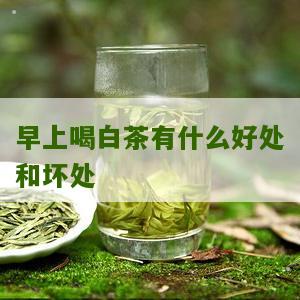 早上喝白茶有什么好处和坏处