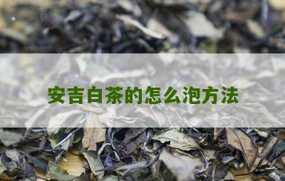 安吉白茶的怎么泡方法