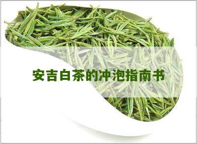 安吉白茶的冲泡指南书