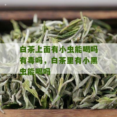 白茶上面有小虫能喝吗有毒吗，白茶里有小黑虫能喝吗