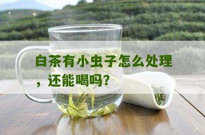 白茶有小虫子怎么处理，还能喝吗？