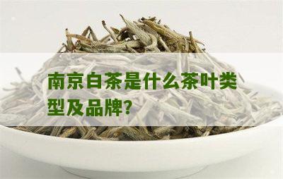 南京白茶是什么茶叶类型及品牌？