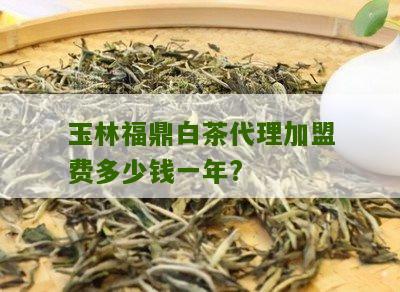 玉林福鼎白茶代理加盟费多少钱一年?