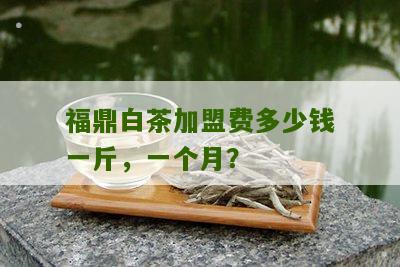 福鼎白茶加盟费多少钱一斤，一个月？