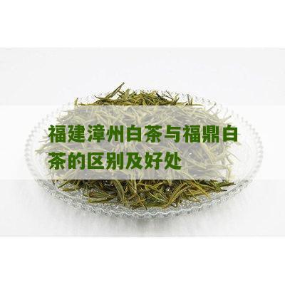 福建漳州白茶与福鼎白茶的区别及好处