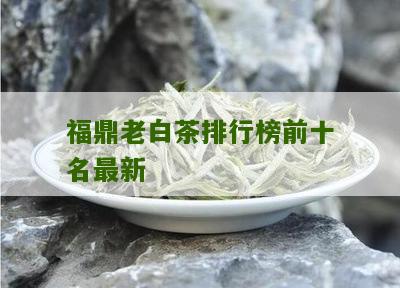 福鼎老白茶排行榜前十名最新