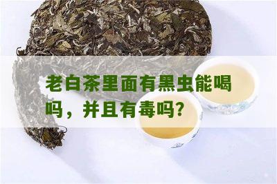 老白茶里面有黑虫能喝吗，并且有毒吗？