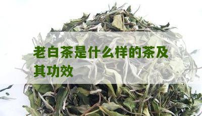 老白茶是什么样的茶及其功效