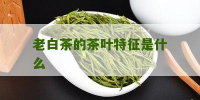 老白茶的茶叶特征是什么