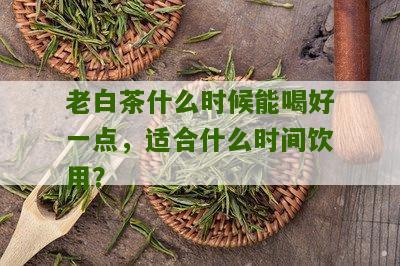 老白茶什么时候能喝好一点，适合什么时间饮用？