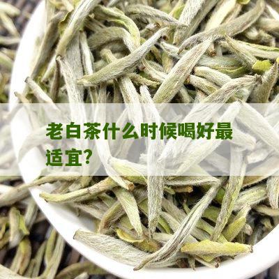 老白茶什么时候喝好最适宜?