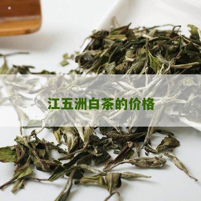 江五洲白茶的价格